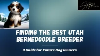 Top Utah Bernedoodle Breeder: Quality, Care and Commitment