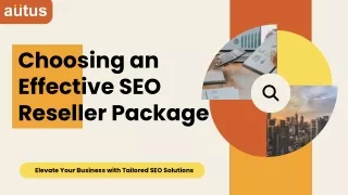 Top Features to Look for in an Effective SEO Reseller Package