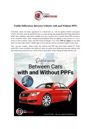 Visible Differences Between Vehicles with and Without PPFs