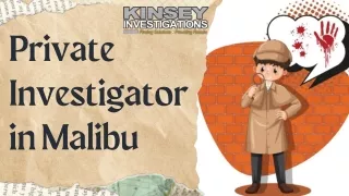 Solve The puzzle with Private Investigator in Malibu