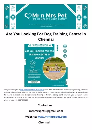 Are You Looking For Dog Training Centre in Chennai