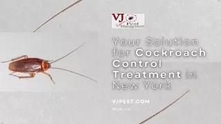 Your Solution for Cockroach Control Treatment in New York