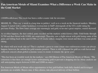 pan american metals of miami examines what a difference a we