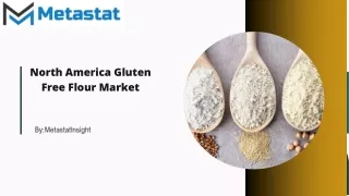 North America Gluten Free Flour Market