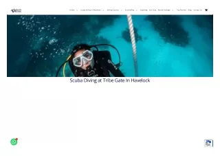 Scuba Diving at Tribe Gate, Havelock Island | Tribe Gate Dive Site