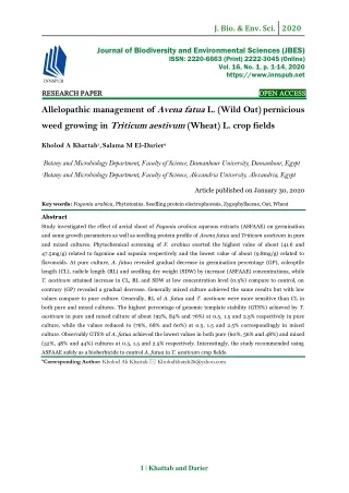 Allelopathic management of Avena fatua L. (Wild Oat) pernicious weed growing