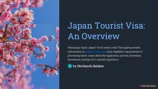 Japan Tourist Visa Simplified Application Process and Expert Guidance