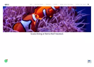 Scuba Diving at Nemo Reef, Havelock Island | Nemo Reef Dive Site