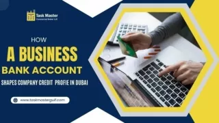 How Business Accounts Company Credit Profiles in Dubai