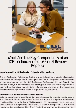 What Are the Key Components of an ICE Technician Professional Review Report