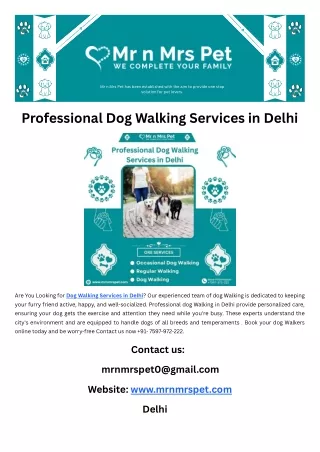 Professional Dog Walking Services in Delhi