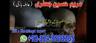 world best astrologer expert in love marriage in uk usa uae amil baba