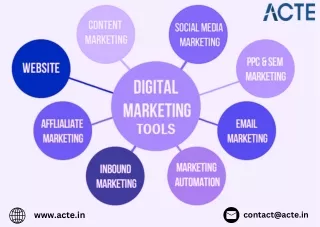 Digiital Marketing Course Careers- ACTE Technologies (1)