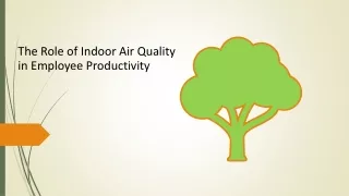 The Role of Indoor Air Quality in Employee Productivity