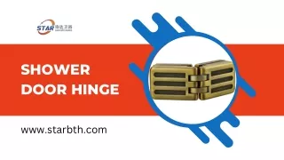 Shower door hinge