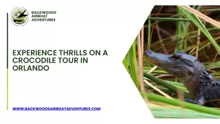 Experience Thrills on a Crocodile Tour in Orlando