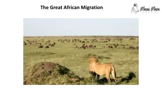 The great african migration