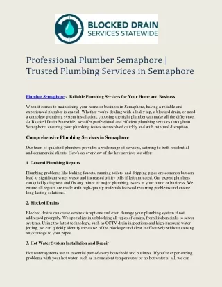 Professional Plumber Semaphore