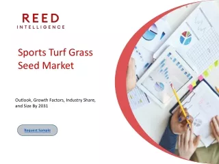 Sports Turf Grass Seed Market