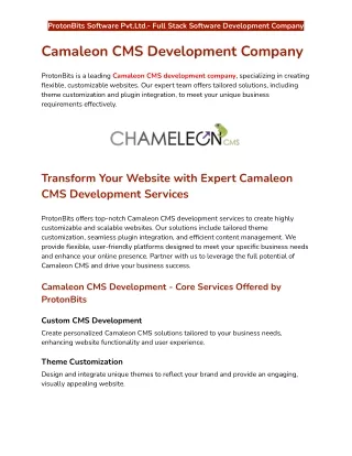 Camaleon CMS Development Services Company | Hire Camaleon CMS Developers