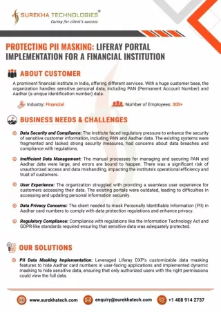 Protecting PII Masking Liferay Portal Implementation for a Financial Institution