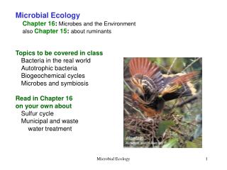 Microbial Ecology Chapter 16 : Microbes and the Environment also Chapter 15 : about ruminants Topics to be covere