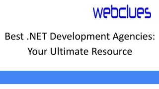 Best .NET Development Agencies: Your Ultimate Resource