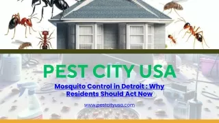 The Importance of Early Mosquito Control in Detroit