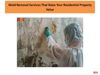 Mold Removal Services That Raise Your Residential Property Value