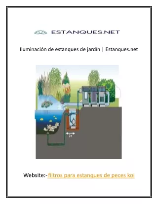 Iluminación para fuentes de agua | Estanques.net