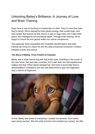 Story of Bailey: A Journey of Love and Brain Training