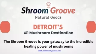 The Shroom Groove: Natural Mushroom Therapy Detroit
