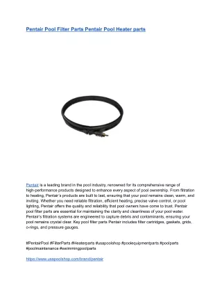 Pentair Pool Filter Parts Pentair Pool Heater parts