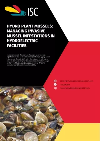 Hydro Plant Mussels Managing Invasive Mussel Infestations in Hydroelectric Facilities
