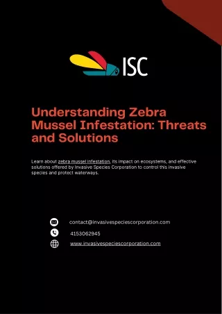 Understanding Zebra Mussel Infestation Threats and Solutions
