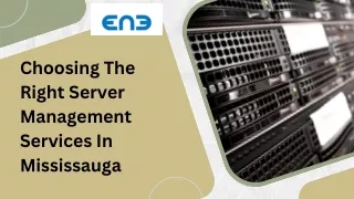 Choosing The Right Server Management Services In Mississauga