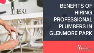 Benefits of Hiring Professional Plumbers in Glenmore Park