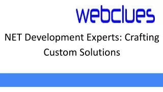 NET Development Experts: Crafting Custom Solutions
