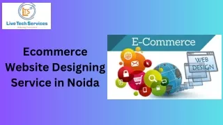 Ecommerce Website Designing Service in Noida