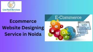 Ecommerce Website Designing Service in Noida