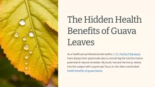 The Hidden Health Benefits of Guava Leaves by Dr. Partha Banerjee