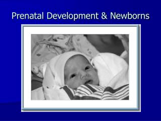 Prenatal Development &amp; Newborns