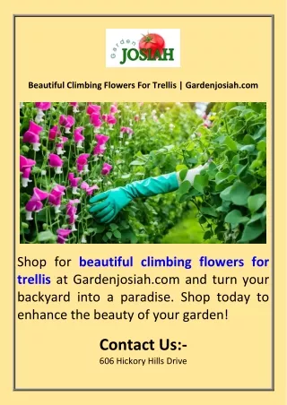 Beautiful Climbing Flowers For Trellis  Gardenjosiah.com