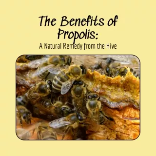 The Benefits of Propolis A Natural Remedy from the Hive