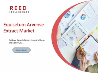 Equisetum Arvense Extract Market