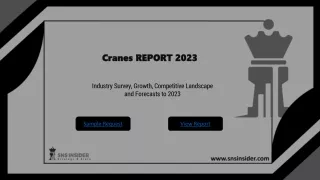 Cranes Market  : A Look at the Industry's Current Status and Future Outlook
