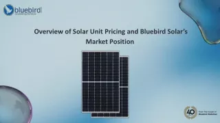 Solar Unit Pricing and Bluebird Solar’s Market Position