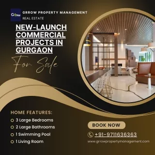 New-Launch Commercial Projects in Gurgaon