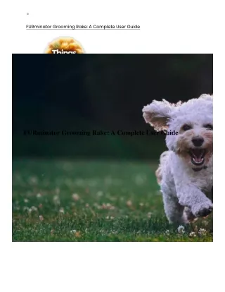 FURminator Grooming Rake - A Complete User Guide