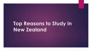 Top Reasons to Study in New Zealand